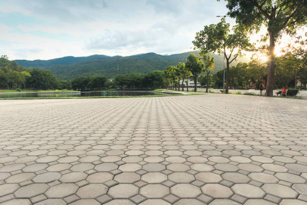 Best Concrete Paver Driveway  in Whitney, NV