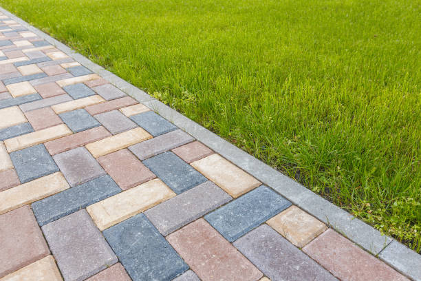 Best Interlocking Driveway Pavers  in Whitney, NV